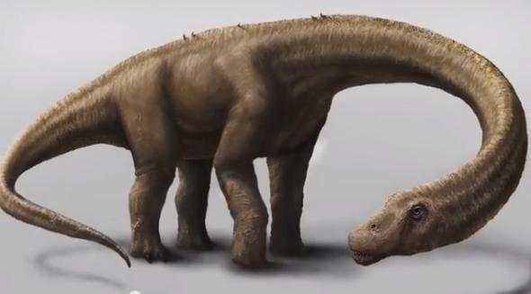 Dreadnoughtus